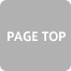 PAGE TOP