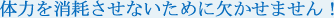 体力を消耗させないために欠かせません！